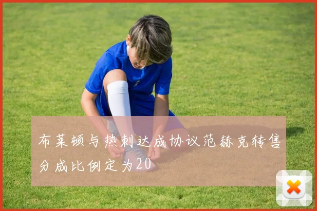 布莱顿与热刺达成协议范赫克转售分成比例定为20